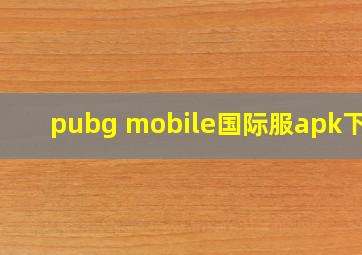 pubg mobile国际服apk下载